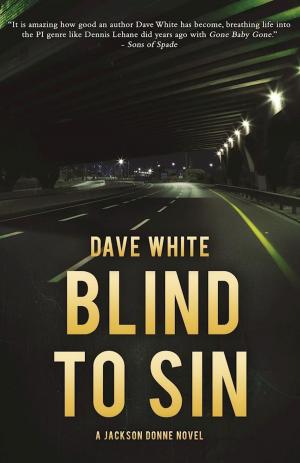 Cover of the book Blind to Sin by Steph Post