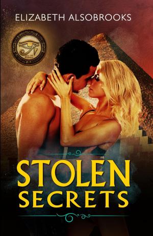 Cover of the book Stolen Secrets by Ellen Fritz