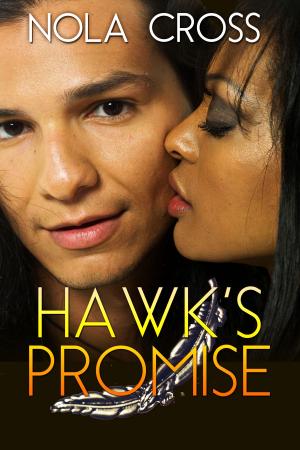 Book cover of Hawk's Promise
