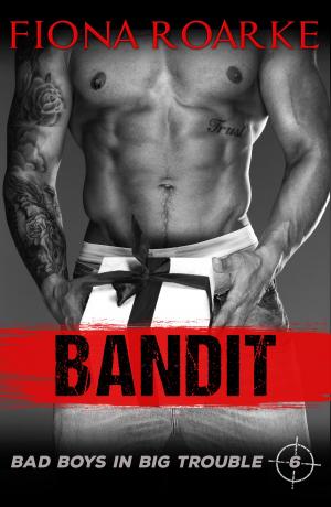 bigCover of the book Bandit by 