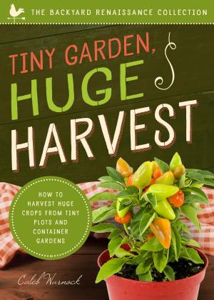 Cover of the book Tiny Garden, Huge Harvest by Caleb Warnock