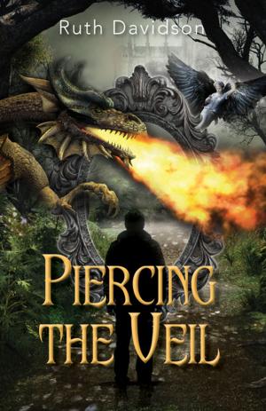 Cover of the book Piercing the Veil by Connie Tang