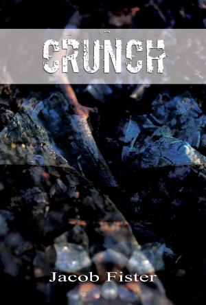 Cover of the book Crunch by Vera Ogden Bakker