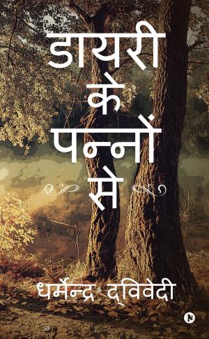 Cover of the book Diary Ke Panno Se by Paramjeet Singh