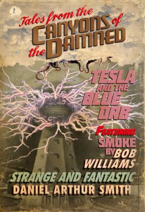 Book cover of Tales from the Canyons of the Damned: No. 2