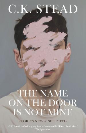 Cover of the book The Name on the Door is Not Mine by Margo Kingston