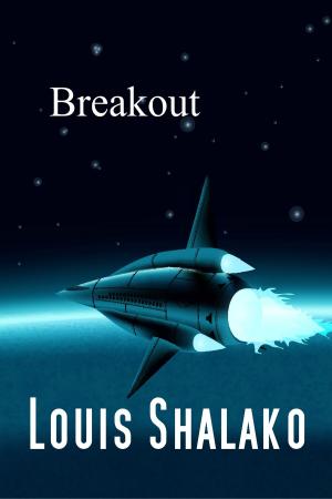 Cover of the book Breakout by Berin Stephens