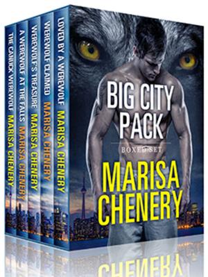 Book cover of Big City Pack Boxed Set