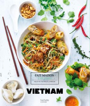 Cover of the book Vietnam by Leslie Gogois, Aude de Galard