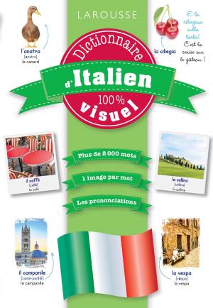 Cover of the book Dictionnaire d'italien 100% visuel by Patricia Riveccio
