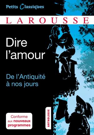 Cover of the book Dire l'amour De l'Antiquité à nos jours by Benoît Le Goedec