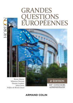 Cover of the book Grandes questions européennes - 4e éd by Claude Poissenot