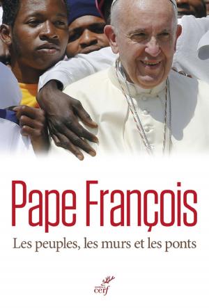 Cover of the book Les peuples, les murs et les ponts by Herve Lehman
