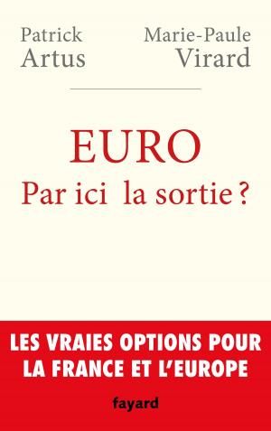 Cover of the book Euro. Par ici la sortie ? by Jean Favier