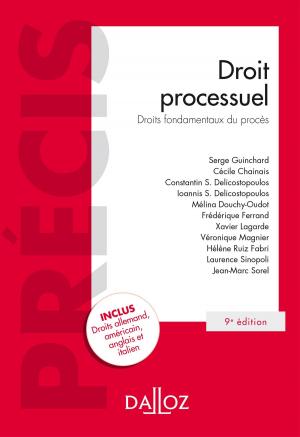 Book cover of Droit processuel. Droits fondamentaux du procès