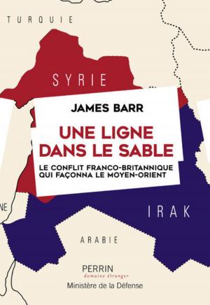 Cover of the book Une ligne dans le sable by Jean-Christian PETITFILS