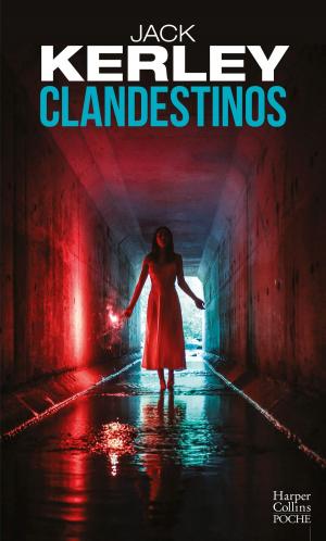 Cover of the book Clandestinos by Stephen J. Flitcraft