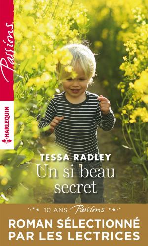Cover of the book Un si beau secret by Melissa James