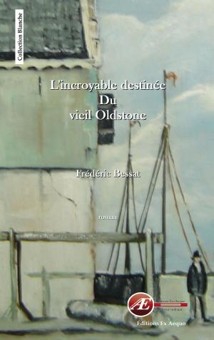 Cover of the book L'incroyable destinée du vieil Oldstone by Jean-Marie Choffat
