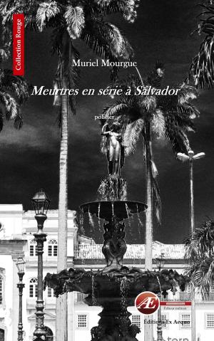 Cover of the book Meurtres en série à Salvador by Jean-François Thiery