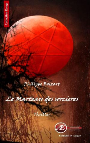 Cover of the book Le marteau des sorcières by Irène Chauvy
