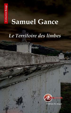 Cover of the book Le territoire des limbes by Samuel Gance