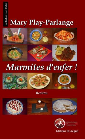 Cover of the book Marmites d'enfer by Gilles Bizien