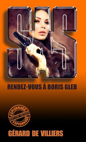 Cover of the book SAS 33 Rendez-vous à Boris Gleb by S.E. Wright