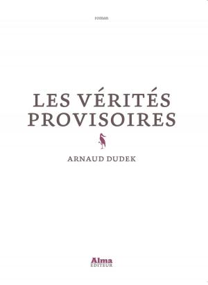 Cover of the book Les vérités provisoires by Arnaud Dudek