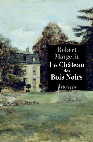 Cover of the book Le château des bois noirs by Odile Du Puigaudeau