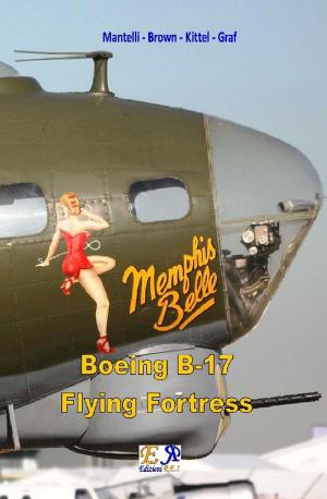 Book cover of Boeing B-17 Flying Fortress