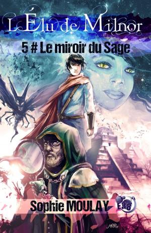 Book cover of Le Miroir du Sage