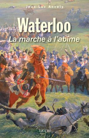 Cover of the book Waterloo by Paul Aron, Françoise Chatelain
