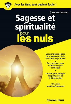 Cover of the book Sagesse et spiritualité pour les Nuls, poche, nouvelle édition by Jed McKenna
