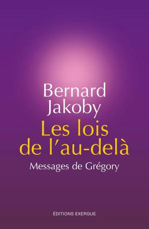 Cover of Les lois de l'au-delà