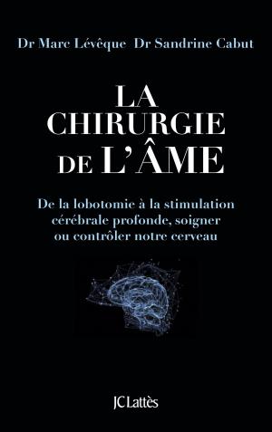 Cover of the book La chirurgie de l'âme by Sylvie Brunel