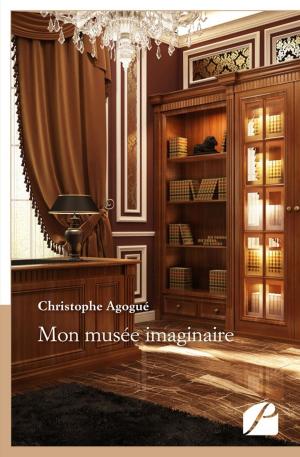 Cover of the book Mon musée imaginaire by Nicole Caplain