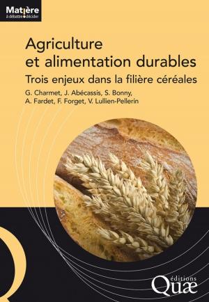 Cover of the book Agriculture et alimentation durables by Bernard Aubert, G. Vullin
