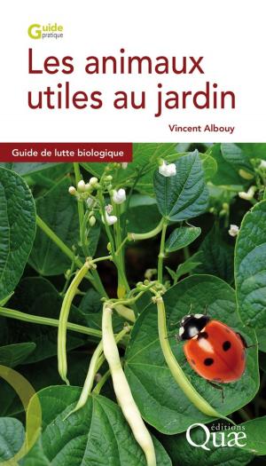 Cover of the book Les animaux utiles au jardin by Stéphanie Jaubert-Possamai, Denis Tagu