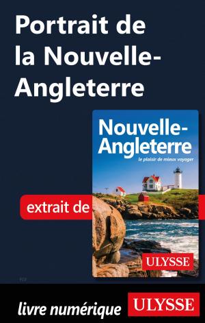 Cover of the book Portrait de la Nouvelle-Angleterre by Jérôme Delgado