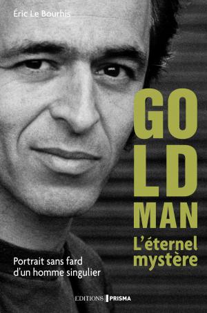 Cover of the book Le Mystère Goldman. Portrait d'un homme très discret by Eric Le bourhis