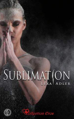 Cover of the book Sublimation by Cyndie Soue
