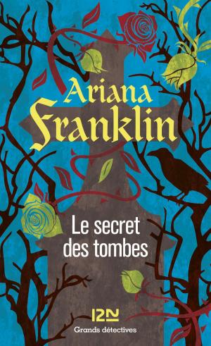Book cover of Le secret des tombes