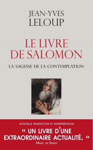 Cover of the book Le livre de Salomon by Patrick Sbalchiero