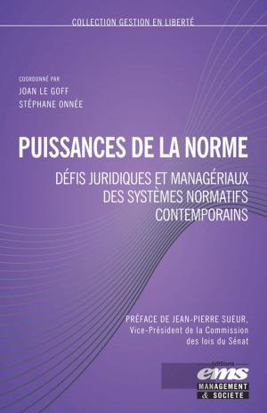 Cover of the book Puissance de la norme by Michel Joras, Michel Jonquieres