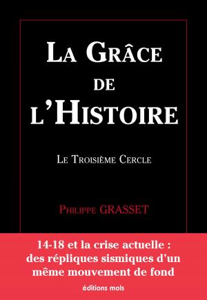 Cover of the book La grâce de l’Histoire by Bruno Humbeeck, Maxime Berger