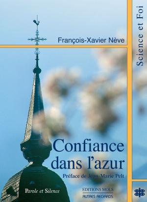 Cover of the book Confiance dans l'azur by Bruno Humbeeck, Maxime Berger