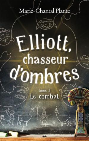 Cover of the book Le combat by Aude Vidal-Lessard