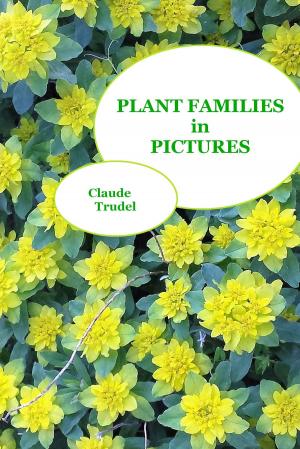 Book cover of Plant Families in Pictures