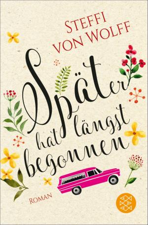 Cover of the book Später hat längst begonnen by Sarah Kuttner